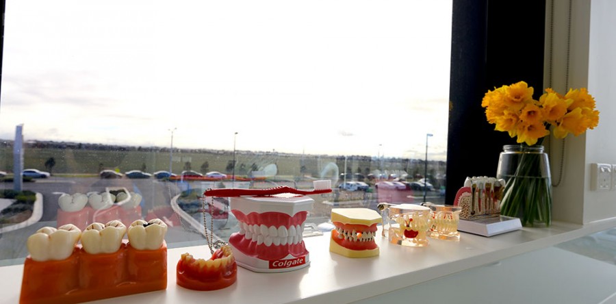 Orthodontist
