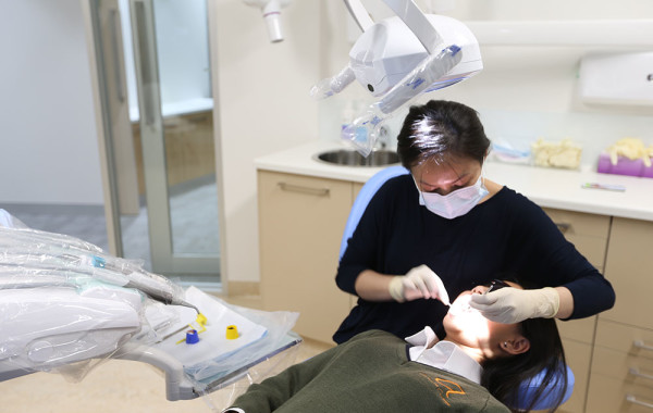 Dr Mary Phan root canal